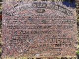 image of grave number 593843